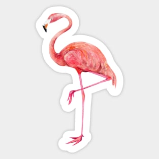 Flamingo Sticker